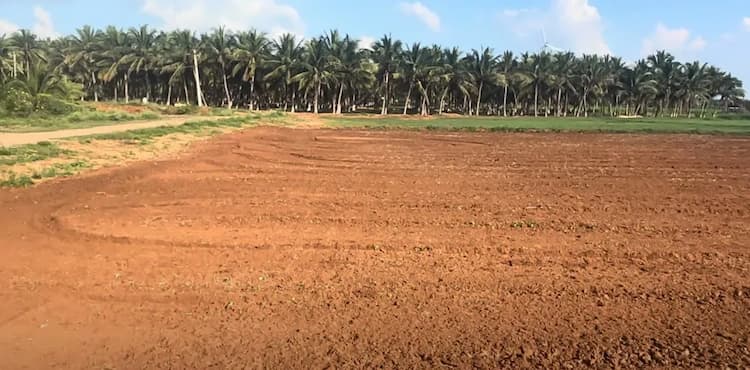 Land for Sale