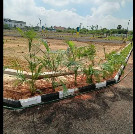 plot for sale 