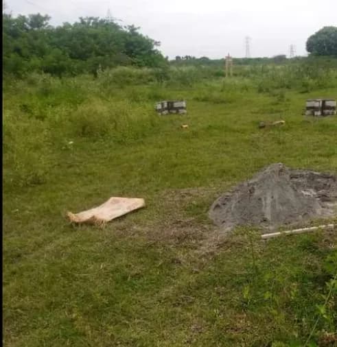 plot for sale 