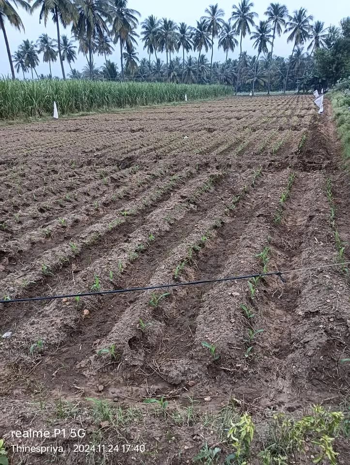 Land for sales