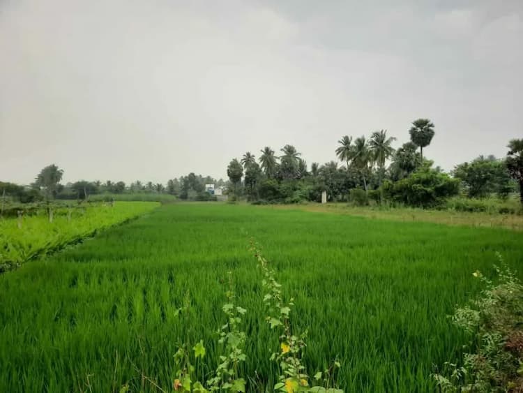 Land for sales
