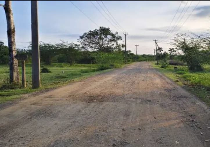 plot for sale