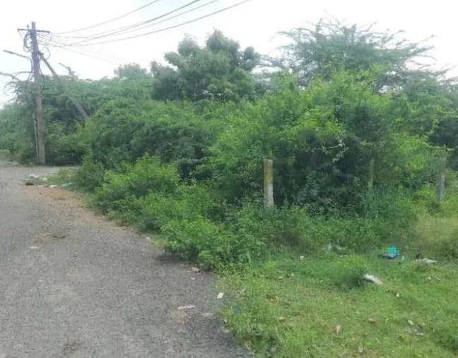 plot for sale