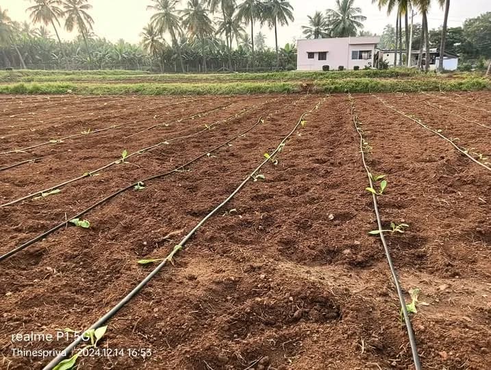 Land for sales