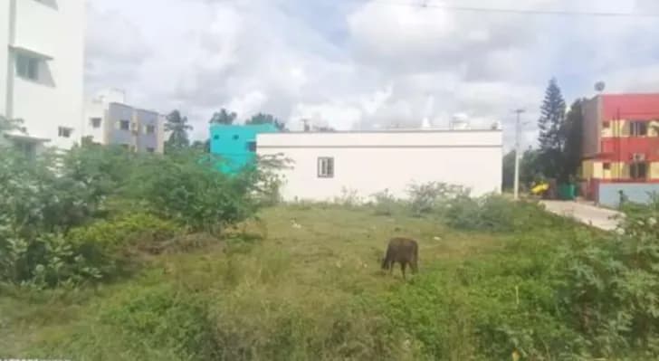 plot for sale