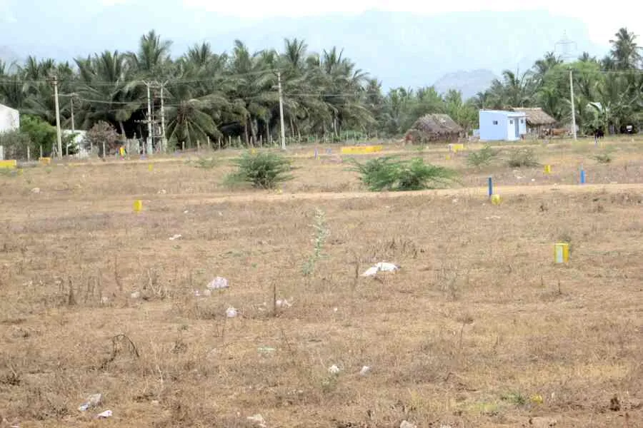 Land for Sale
