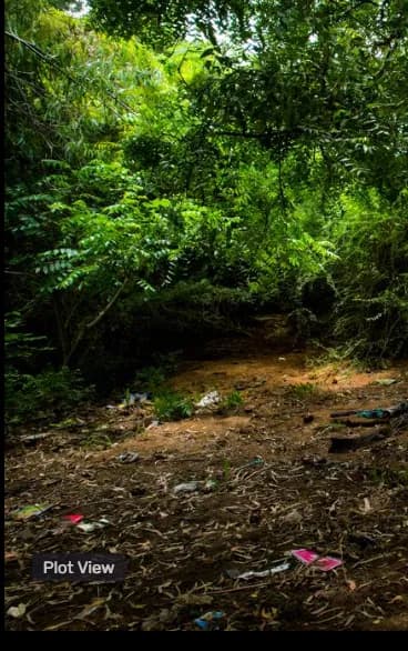 plot for sale