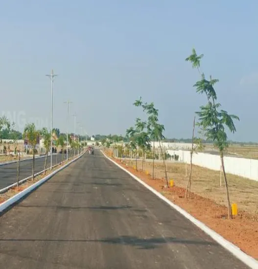 Land for sales