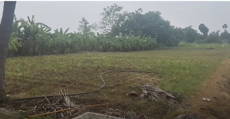 Land for sales
