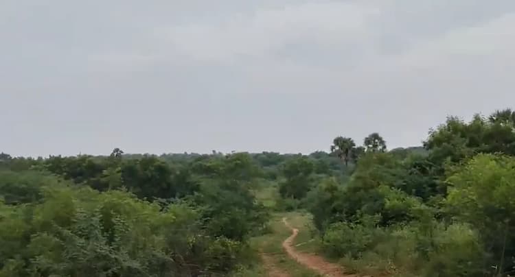 Land for sales