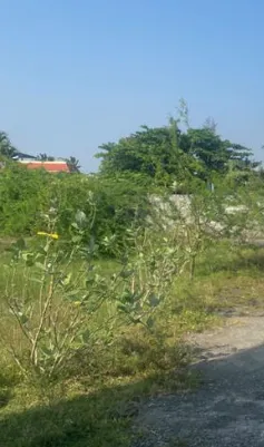 Land for sales