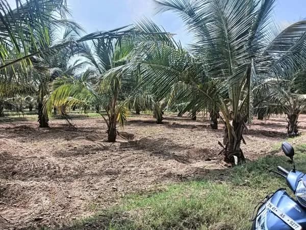 Land for Sale