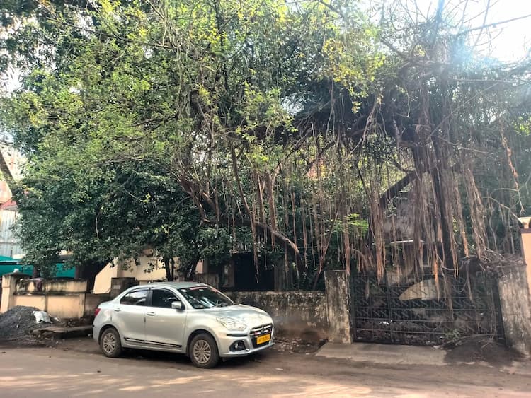 House for sales