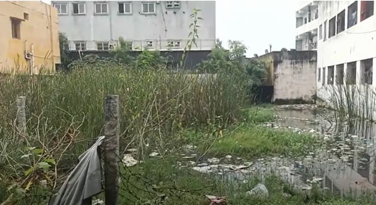 Land for sales