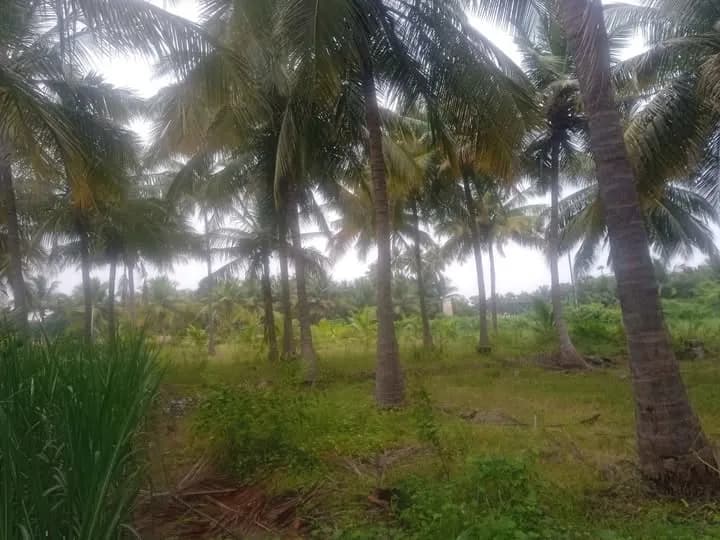 Land for sales