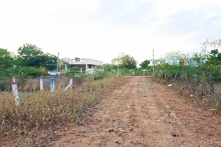 Land for Sale