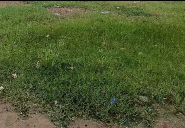 Land for sales