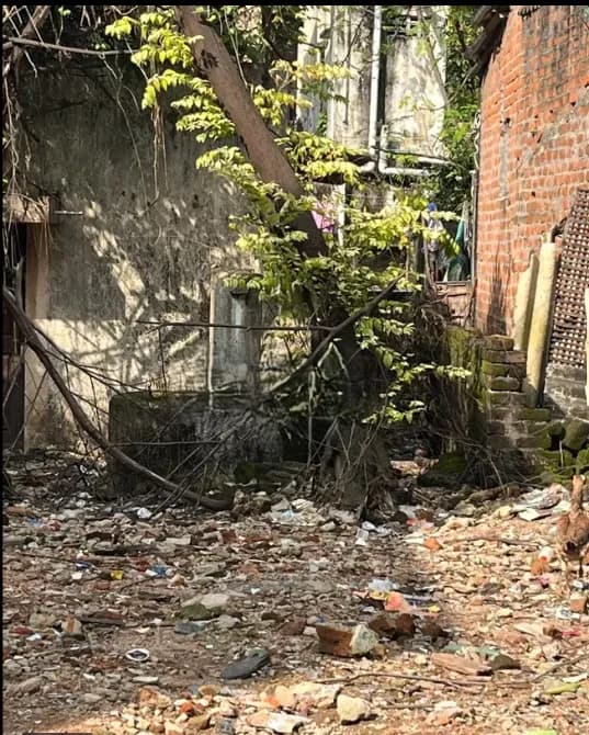 Land for sales