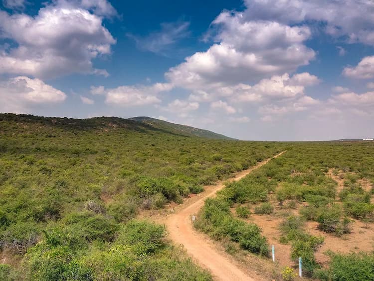 Land for Sale