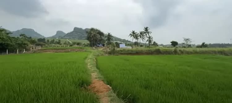 Land for sales