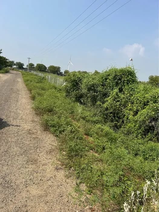 Land for Sale