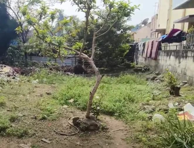 Land for sales
