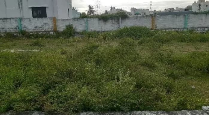 Agriculture Land for Sale