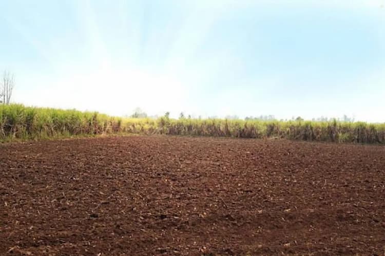 Commercial Land for Sale