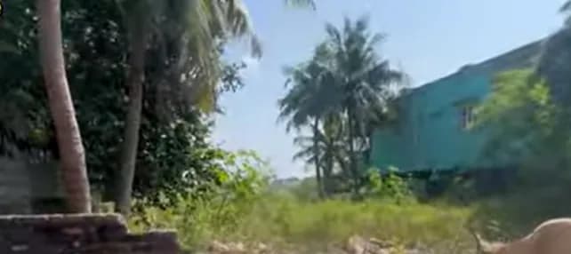 Land for sales