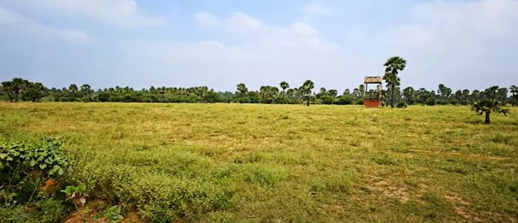 Land for sales