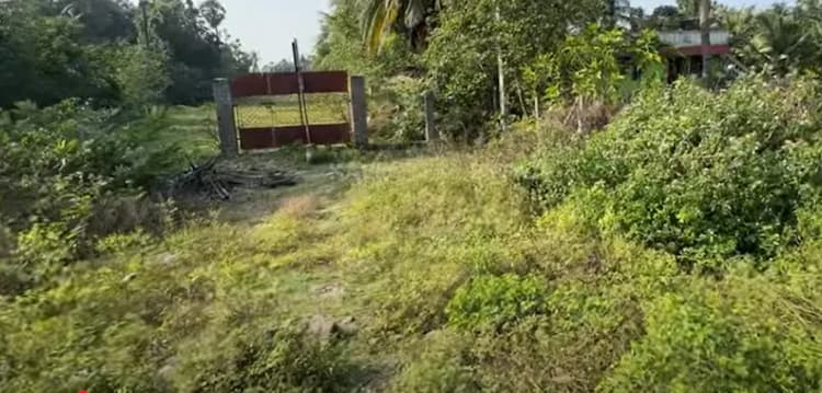 Land for sales