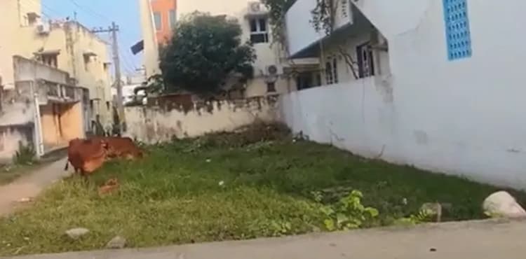 Land for sales