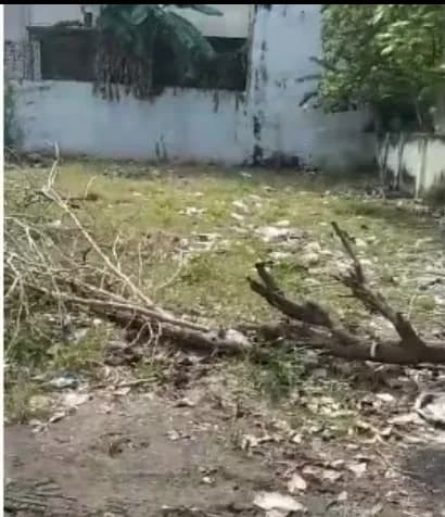 Land for sales