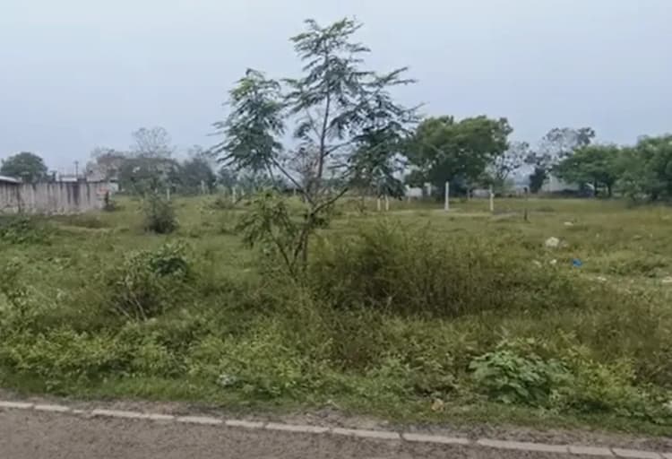 Land for sales