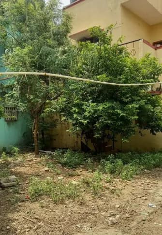 House for sales