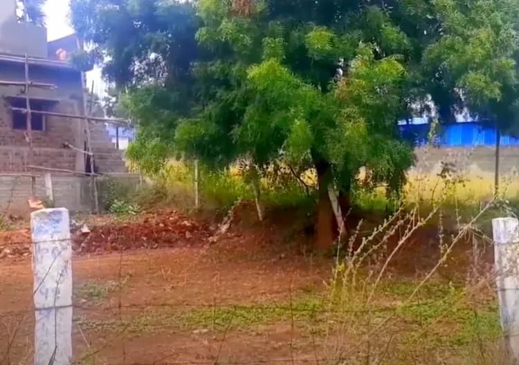 Land for sales