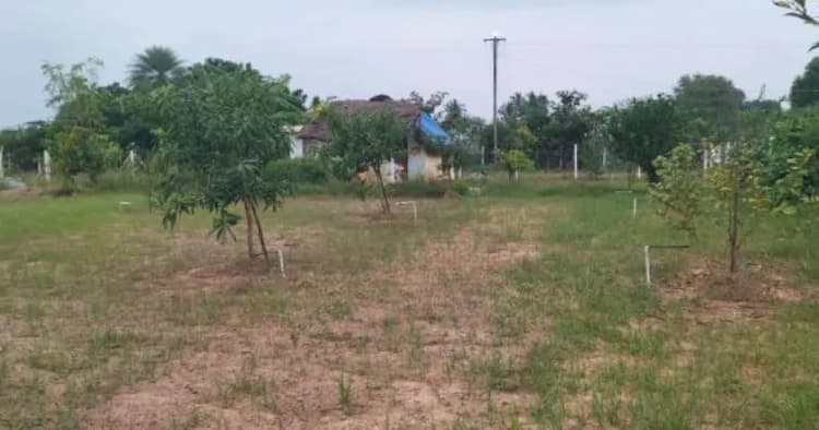 Land for Slae
