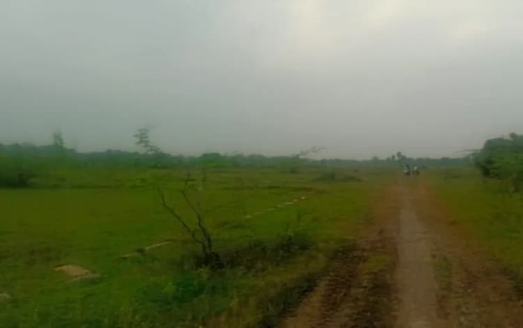 Land for sales