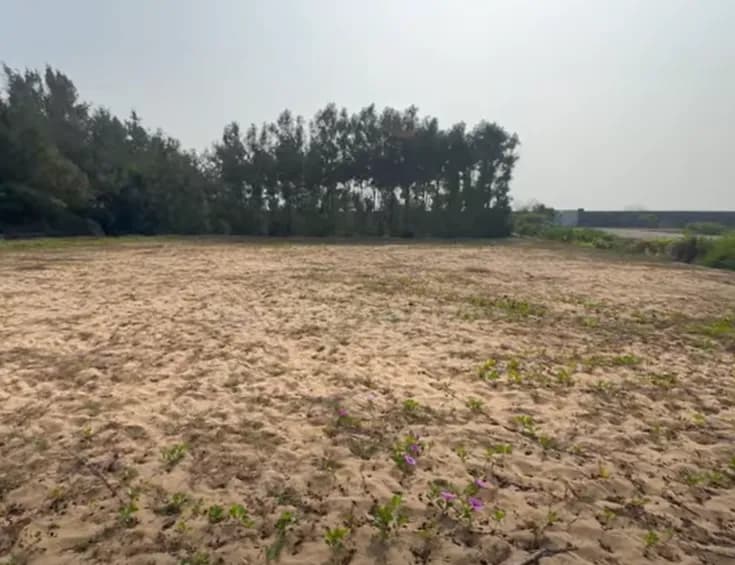 Land for sales