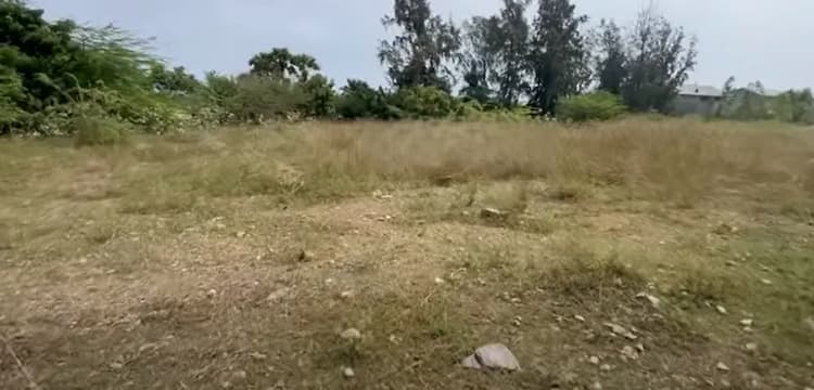 Land for sales