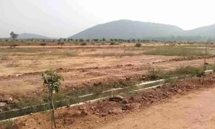 Land for Sale