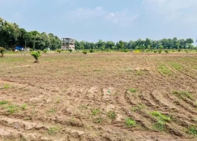 Land for sale