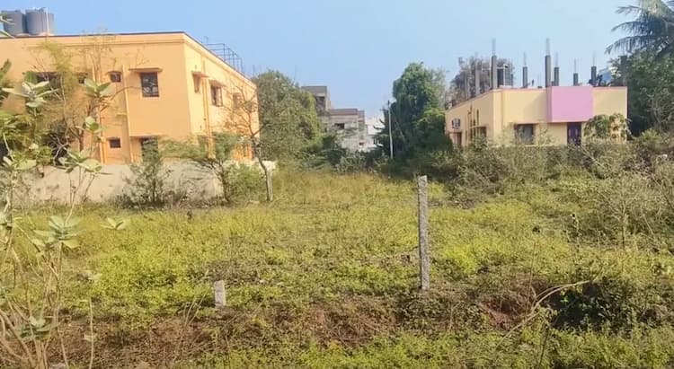 Land for sales