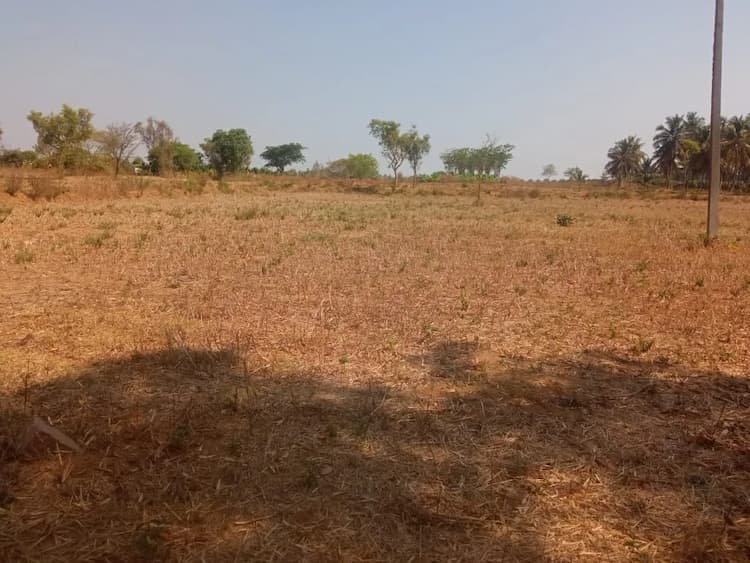 Land for Sale
