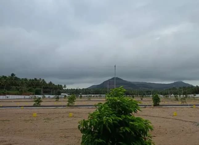 plot for sale 