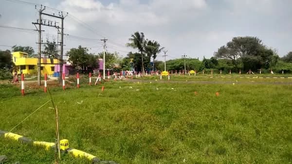 Land for Sale