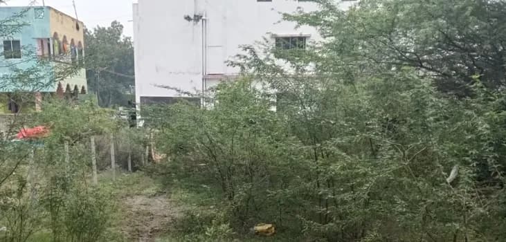 Land for sales