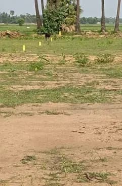 plot for sale 