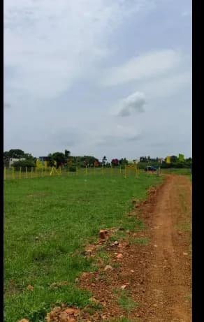 plot for sale 