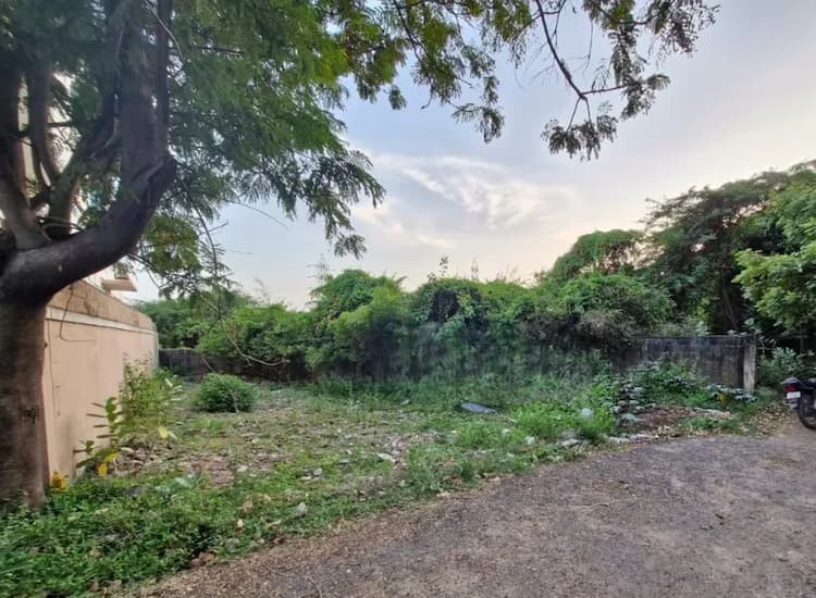 Land for sales